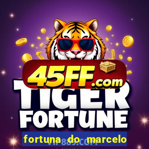 fortuna do marcelo do fluminense